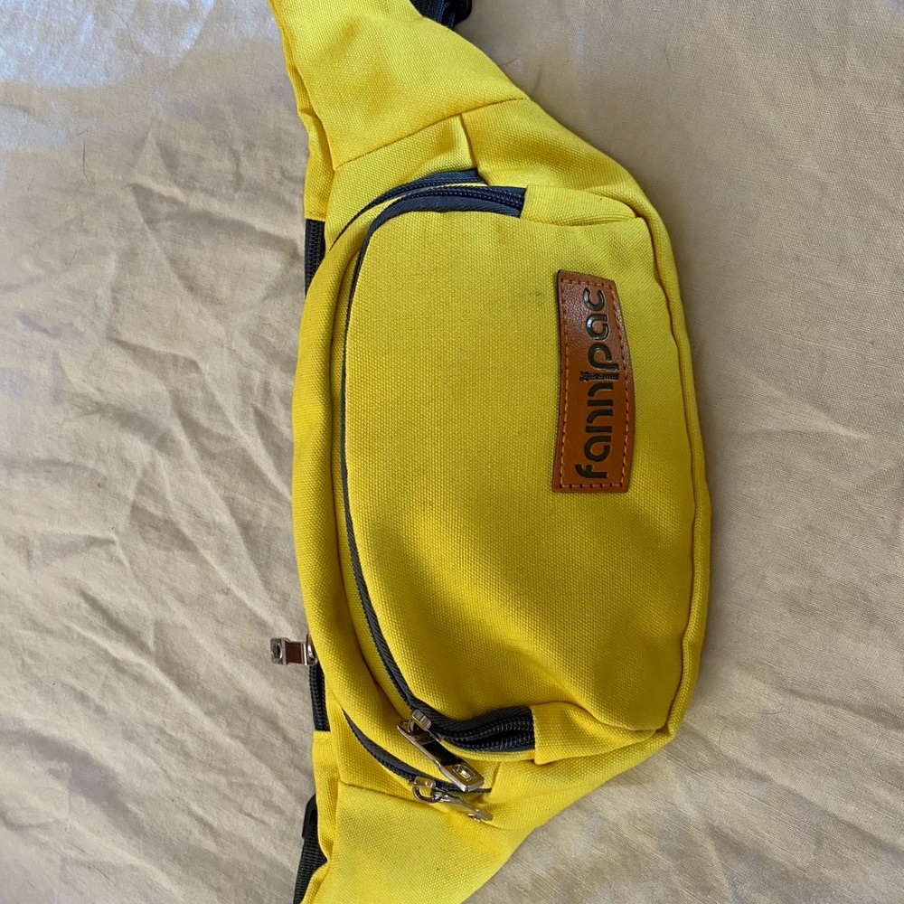 Fannipac belt bag
